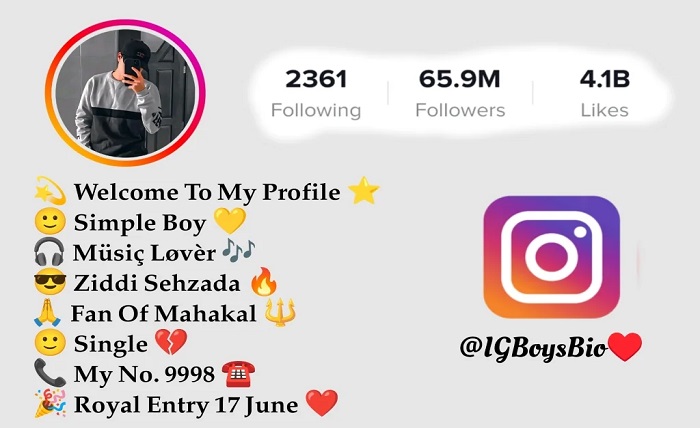 insta bio for boy