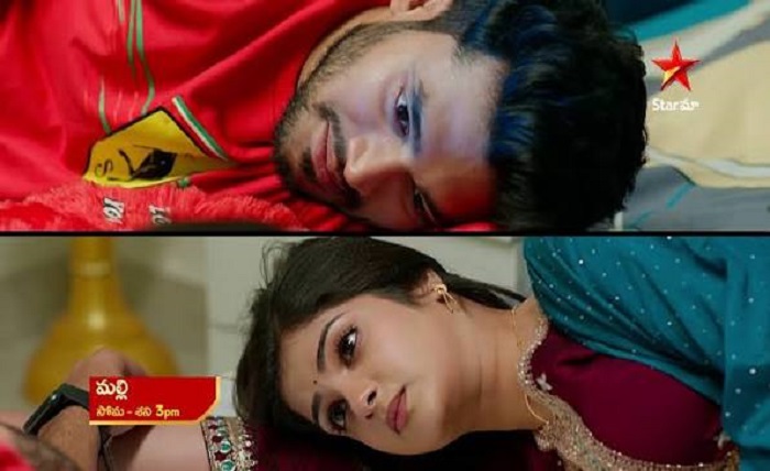 mallumv dvdplay